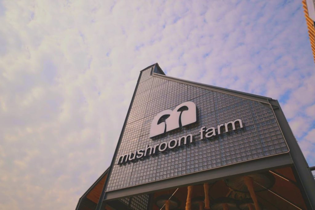 R600m Mushroom Farm Mall Opens in Waterfall