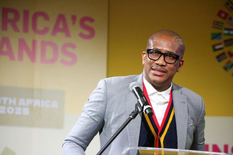 DEPUTY MINISTER: SA Drives Digital Economy Regulation at TikTok Summit