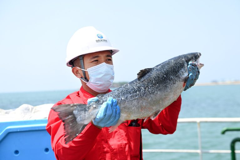 Namibia’s Fish Exports Rise but Landings Drop Sharply